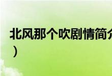北風那個吹劇情簡介（北風那個吹電視的簡介）