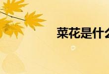 菜花是什么（菜花簡(jiǎn)介）