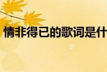情非得已的歌詞是什么（情非得已歌曲簡(jiǎn)介）