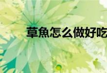 草魚(yú)怎么做好吃（如何做草魚(yú)美味）
