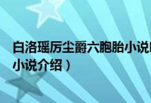 白洛瑤厲塵爵六胞胎小說叫什么名字（白洛瑤厲塵爵六胞胎小說介紹）