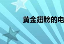 黃金翅膀的電視?。S金翅膀）