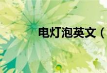 電燈泡英文（電燈泡雙語例句）