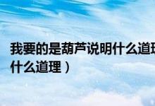 我要的是葫蘆說明什么道理1018無標題（我要的是葫蘆說明什么道理）