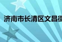 濟南市長清區(qū)文昌街道新屯小學(xué)的地址在哪