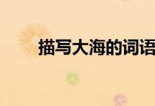 描寫(xiě)大海的詞語(yǔ)（寫(xiě)大海的詞盤(pán)點(diǎn)）