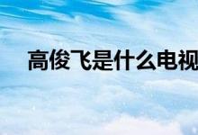 高俊飛是什么電視?。ㄖv述了什么故事）