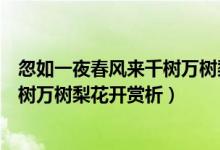 忽如一夜春風來千樹萬樹梨花開啥意思（忽如一夜春風來千樹萬樹梨花開賞析）