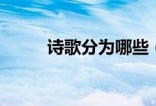 詩(shī)歌分為哪些（詩(shī)歌分為哪幾類）