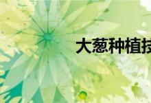 大蔥種植技術概述及介紹