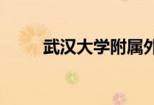 武漢大學(xué)附屬外語(yǔ)學(xué)校的地址在哪
