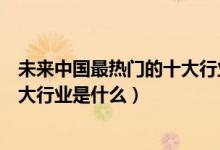 未來(lái)中國(guó)最熱門(mén)的十大行業(yè)是什么（中國(guó)未來(lái)最有前景的十大行業(yè)是什么）