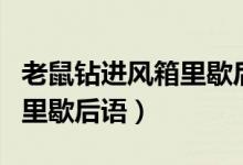 老鼠鉆進風箱里歇后語的意思(老鼠鉆進風箱里歇后語)