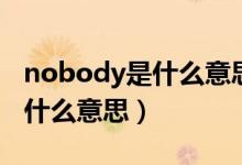 nobody是什么意思中文翻譯（英語nobody什么意思）