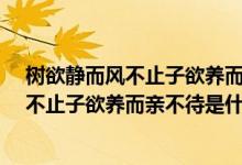 樹欲靜而風不止子欲養(yǎng)而親不待是什么意思?（樹欲靜而風不止子欲養(yǎng)而親不待是什么意思）