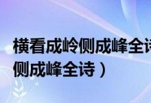 橫看成嶺側成峰全詩書法作品欣賞（橫看成嶺側成峰全詩）