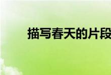 描寫春天的片段（關(guān)于春天的描寫）