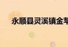 永順縣靈溪鎮(zhèn)金蘋(píng)果幼兒園的地址在哪
