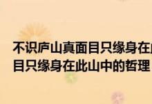 不識廬山真面目只緣身在此山中的詩句意思（不識廬山真面目只緣身在此山中的哲理）