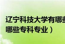 遼寧科技大學有哪些專業(yè)好（遼寧科技大學有哪些?？茖I(yè)）