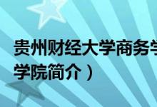 貴州財經(jīng)大學商務學院怎么樣（財經(jīng)大學商務學院簡介）