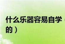 什么樂器容易自學（哪些樂器的比較容易自學的）