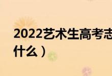 2022藝術(shù)生高考志愿填報指南（報考技巧是什么）