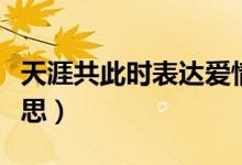天涯共此時表達(dá)愛情嘛（天涯共此時表達(dá)的意思）