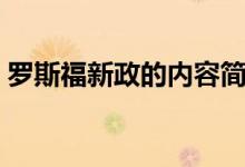 羅斯福新政的內(nèi)容簡(jiǎn)介（羅斯福新政的內(nèi)容）