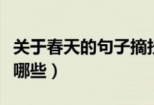 關(guān)于春天的句子摘抄（描寫春天的優(yōu)美句子有哪些）