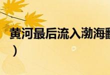 黃河最后流入渤海翻譯（黃河最后流入哪個海）