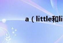 a(little和little的區(qū)別用法)