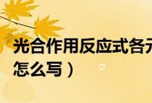 光合作用反應式各元素去向(光合作用反應式怎么寫)