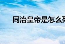 同治皇帝是怎么死的（同治皇帝是誰）