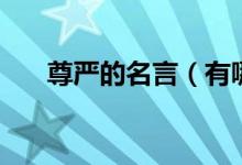 尊嚴的名言（有哪些關(guān)于尊嚴的名言）