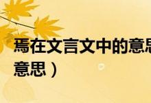 焉在文言文中的意思高三網（焉在文言文中的意思）