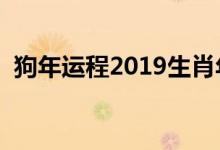狗年運程2019生肖年運（分析的太透徹了）