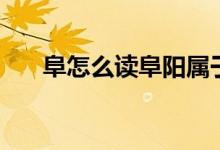 阜怎么讀阜陽(yáng)屬于哪個(gè)?。ǜ吩趺醋x）