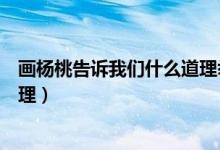 畫楊桃告訴我們什么道理舉個(gè)例子（畫楊桃告訴我們什么道理）