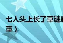 七人頭上長了草謎底是什么字（七人頭上長了草）
