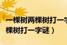 一棵樹(shù)兩棵樹(shù)打一字謎底是什么字（一棵樹(shù)兩棵樹(shù)打一字謎）