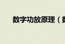 數(shù)字功放原理（數(shù)字功放是什么原理）