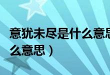 意猶未盡是什么意思怎么造句(意猶未盡是什么意思)