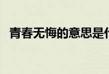 青春無(wú)悔的意思是什么（青春無(wú)悔的意思）