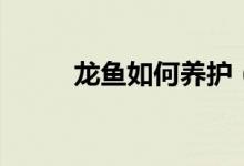 龍魚(yú)如何養(yǎng)護(hù)（龍魚(yú)養(yǎng)護(hù)的方法）