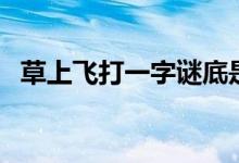草上飛打一字謎底是什么(草上飛打一字)