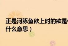正是河豚魚(yú)欲上時(shí)的欲是什么意思（正是河豚欲上時(shí)的欲是什么意思）
