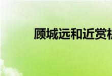 顧城遠和近賞析（顧城的遠和近）