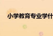 小學(xué)教育專(zhuān)業(yè)學(xué)什么科目（有哪些課程）