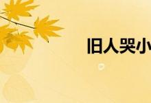 舊人哭小說(shuō)（舊人哭）